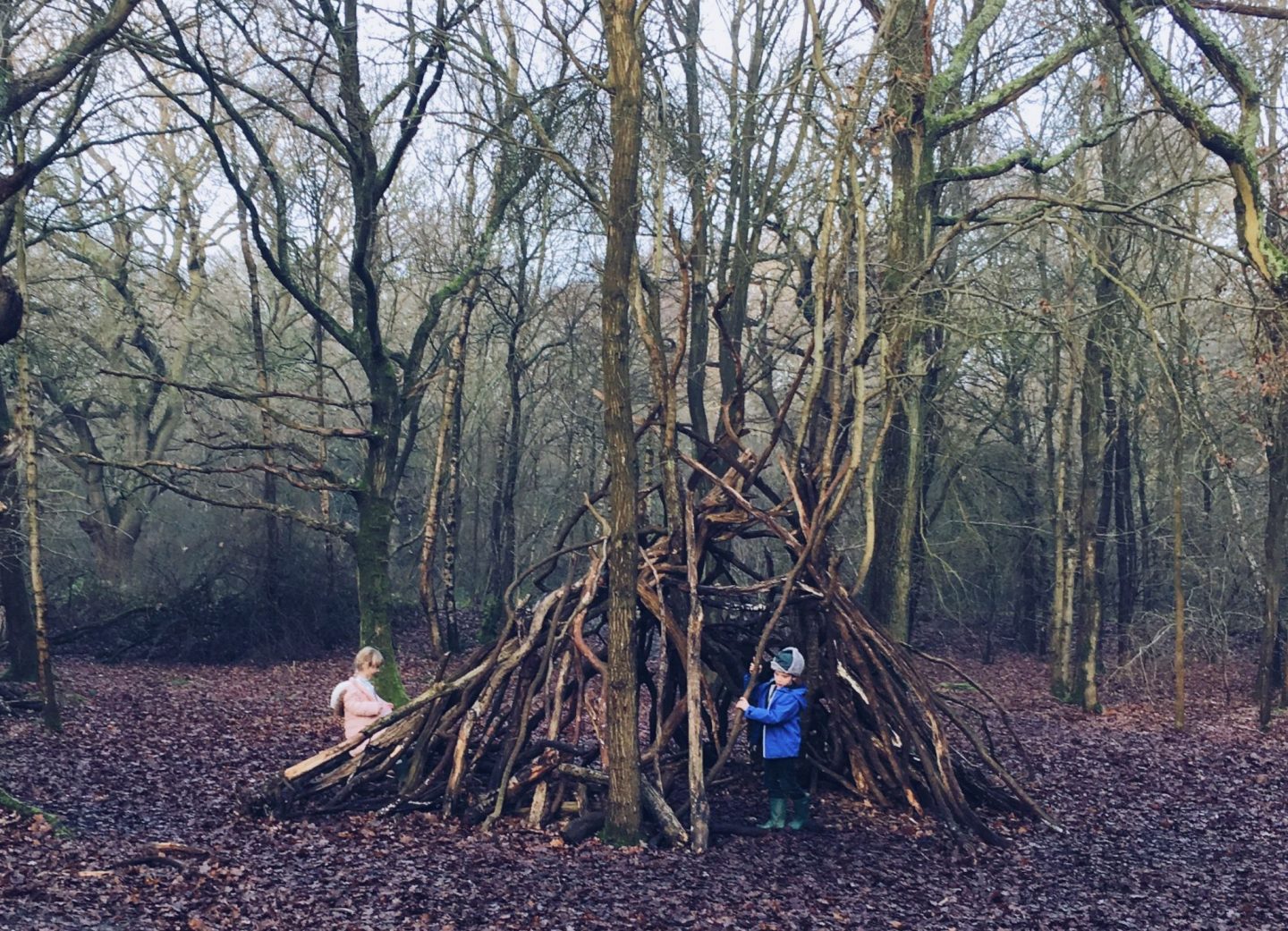 den in woods foundations