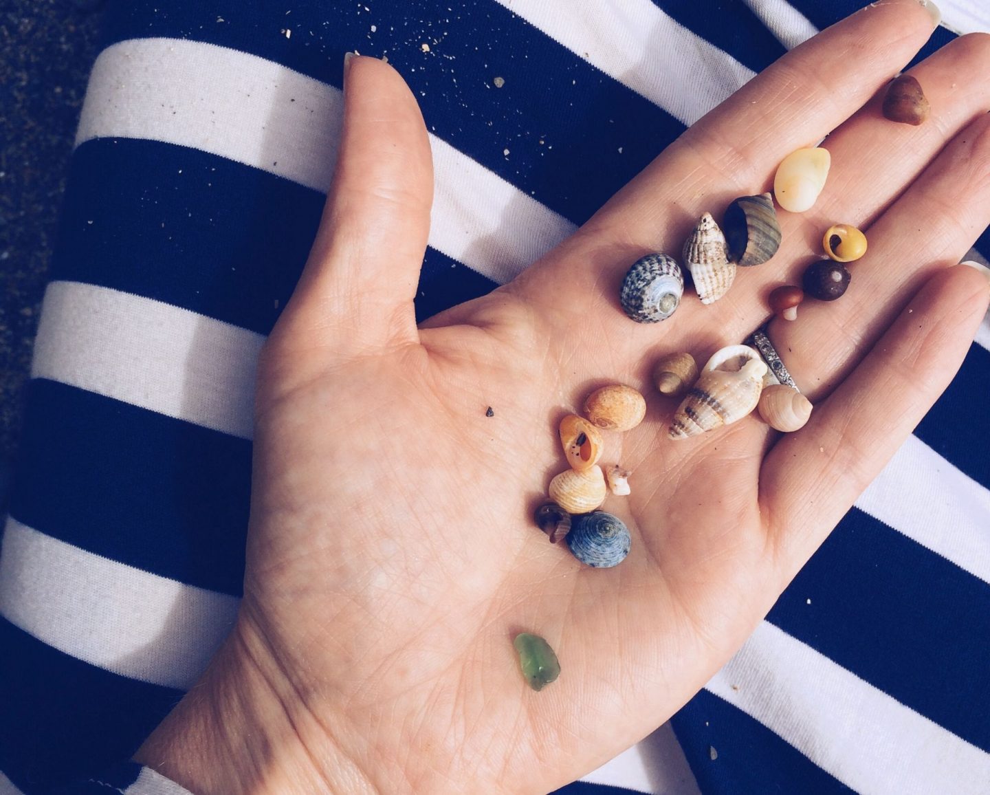 tiny seashells sea glass in hand