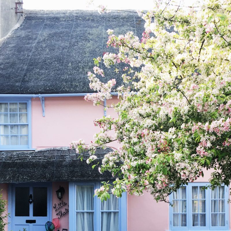 pink thatched cottage lyme regis